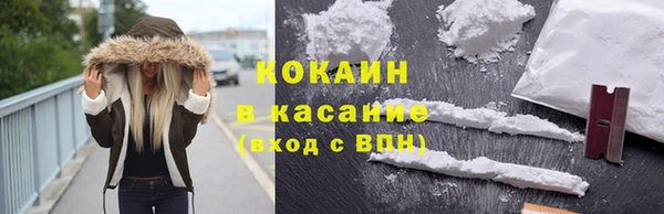 дживик Касимов
