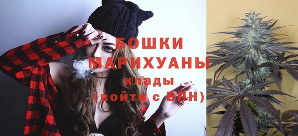 дживик Касимов