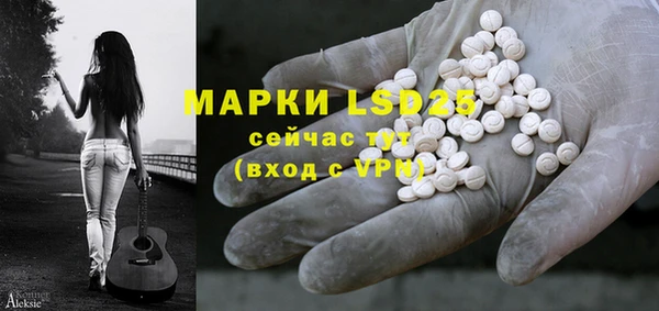 дживик Касимов