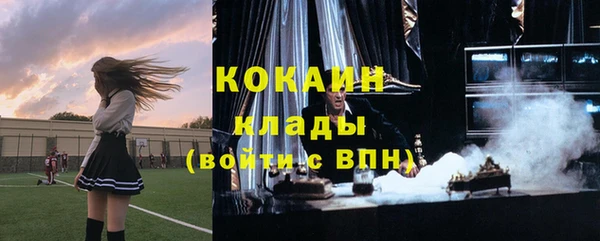 дживик Касимов
